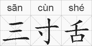 三寸舌的拼音