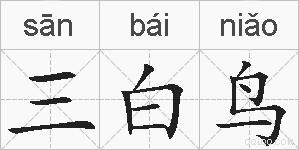 三白鸟的拼音
