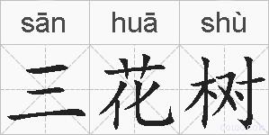 三花树的拼音