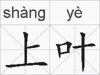 上叶的拼音