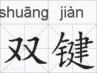 双键的拼音