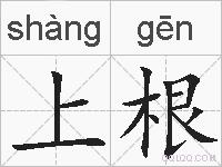 上根的拼音