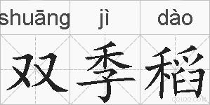 双季稻的拼音