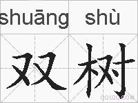 双树的拼音
