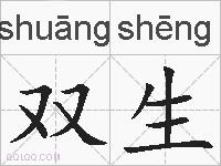 双生的拼音