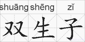 双生子的拼音