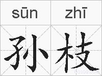 孙枝的拼音