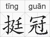 挺冠的拼音