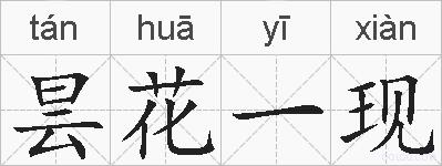 昙花一现是什么意思 拼音读音 词语解释 昙花一现的英文翻译 近义词 反义词 昙花一现的相关成语词语诗词名人明星