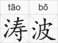 涛波的拼音