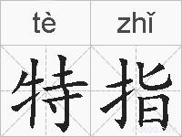 特指的拼音