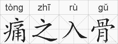 痛之入骨的拼音