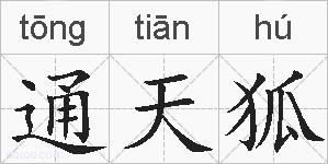 通天狐是什么意思 拼音读音 词语解释 通天狐的英文翻译 近义词 反义词 通天狐的相关成语词语诗词名人明星