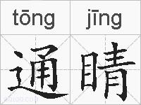 通睛的拼音