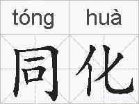 同化的拼音