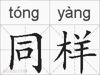 同样的拼音