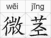微茎的拼音