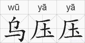 乌压压的拼音