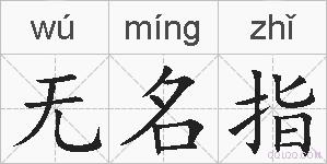 无名指的拼音