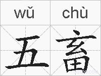 五畜的拼音