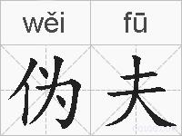 伪夫的拼音