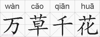 万草千花的拼音