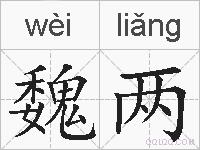 魏两的拼音