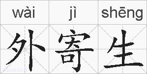 外寄生的拼音