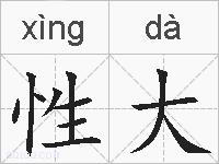 性大的拼音