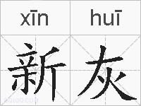 新灰的拼音