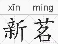新茗的拼音