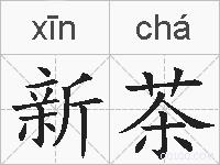新茶的拼音