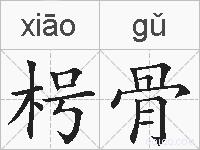 枵骨的拼音