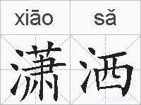 潇洒的拼音
