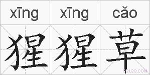 猩猩草的拼音