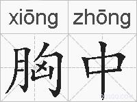 胸中的拼音