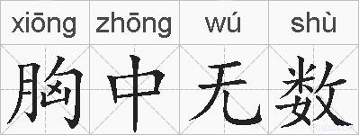 胸中无数的拼音