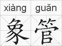 象管的拼音