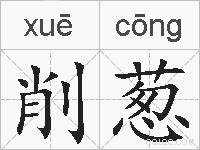 削葱的拼音
