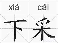 下采的拼音