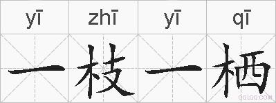 一枝一栖的拼音