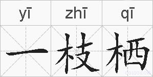 一枝栖的拼音