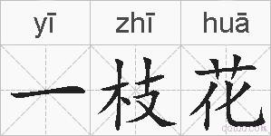 一枝花的拼音