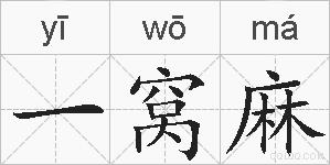 一窝麻的拼音