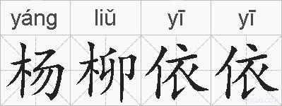 杨柳依依的拼音