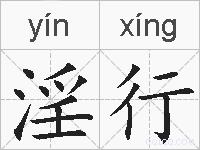 淫行的拼音