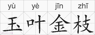 玉叶金枝的拼音