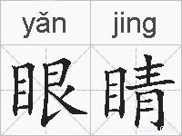 眼睛的拼音
