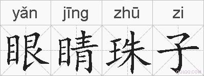 眼睛珠子的拼音