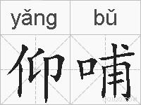 仰哺的拼音